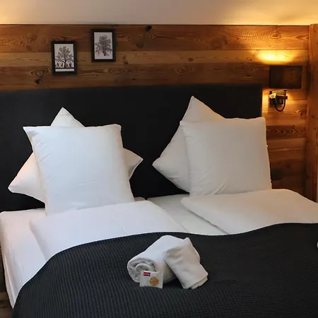 Hotel Typically Swiss Ermitage 3*